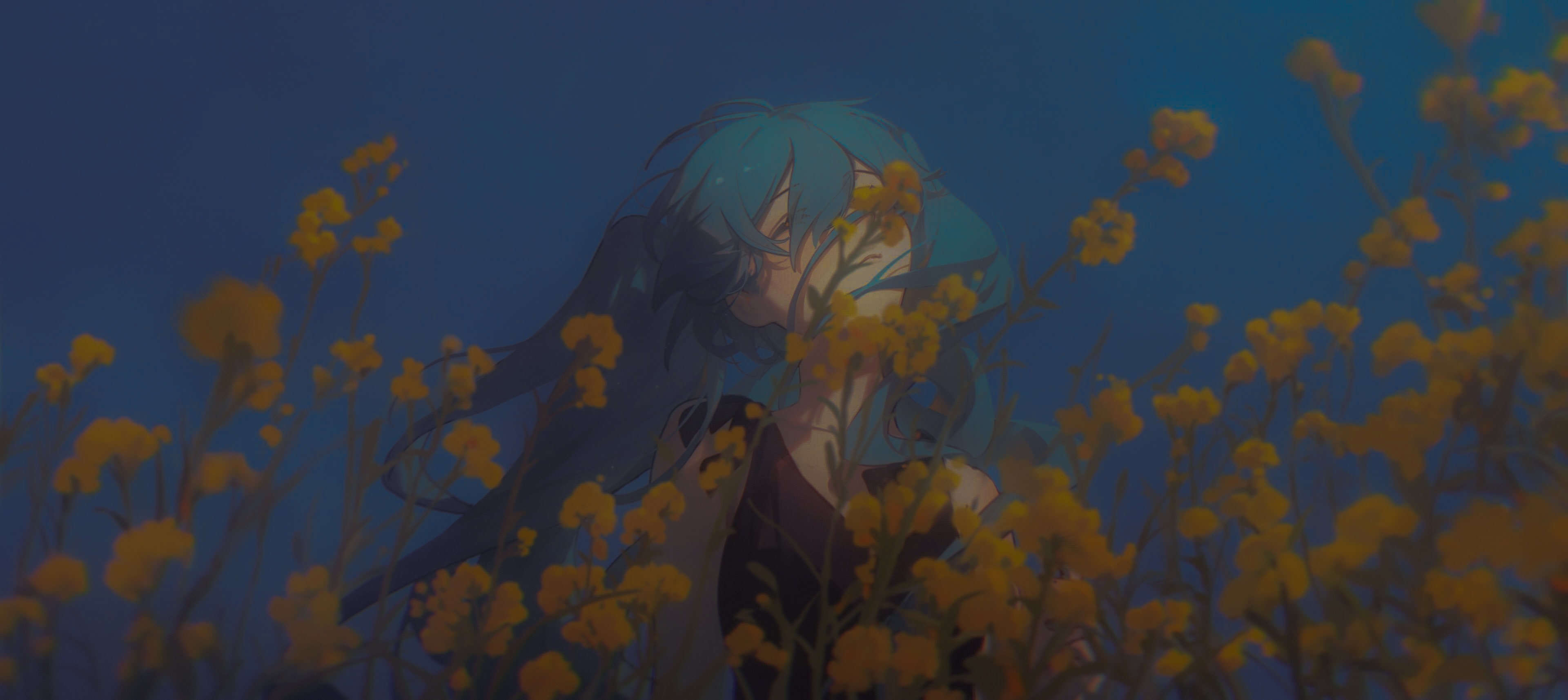 home-banner-background